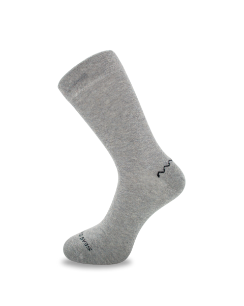 Gray sock Dace