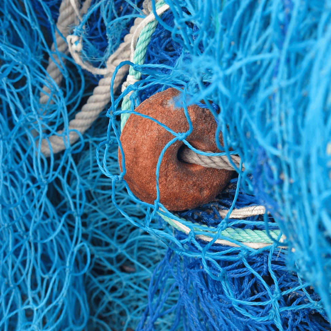 Het healthy seas initiatief duikt verloren visnetten op van de zeebodem